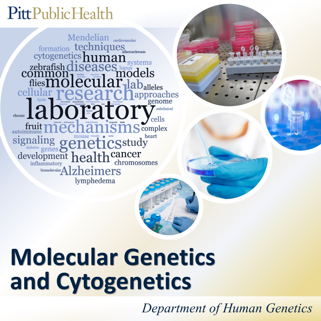 Molecular Genetics and Cytogenetics Poster
